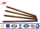Pure Earth Earth Bar Copper Grounding Rod Flat Pointed 0.254mm Thickness pemasok