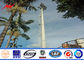 15m Powder Coated High Mast Outdoor Lamp Pole For Park Lighting Fixed Ladder pemasok